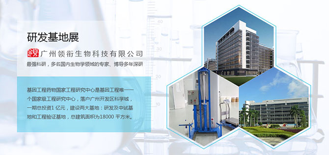 与广州领衔生物科技公司签订网站建设合同